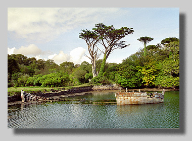 3. Platz Nina Weinmann