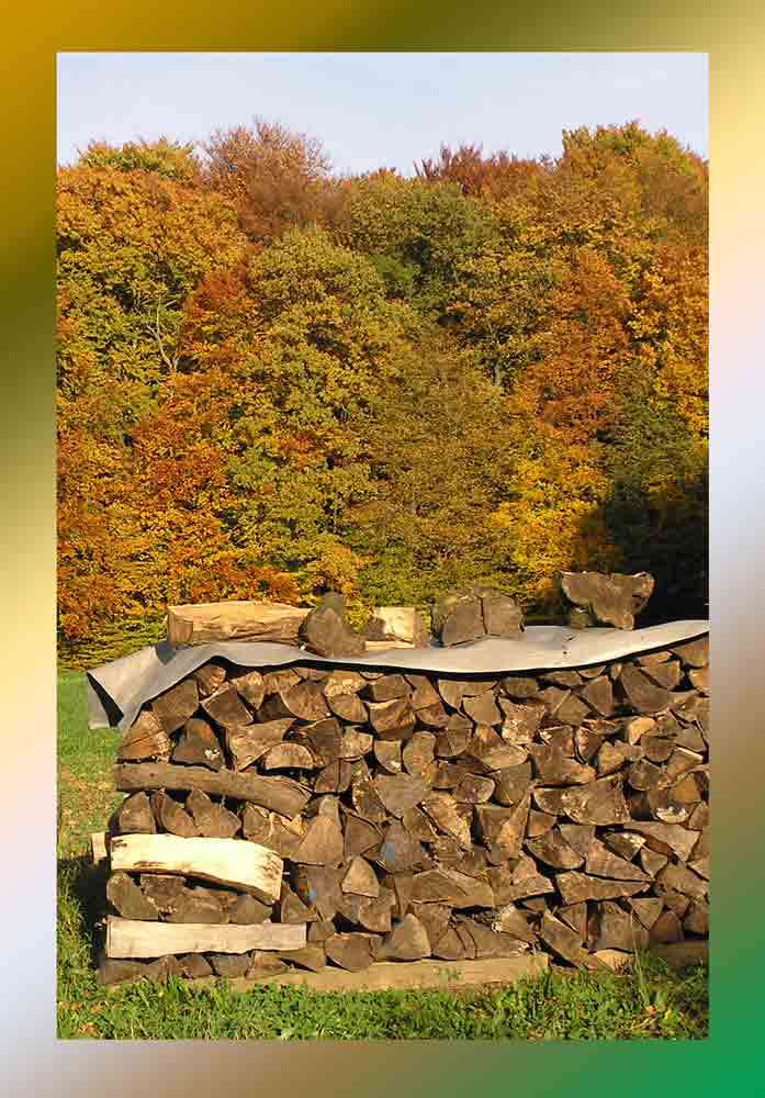 4. Platz Cathrin Steck