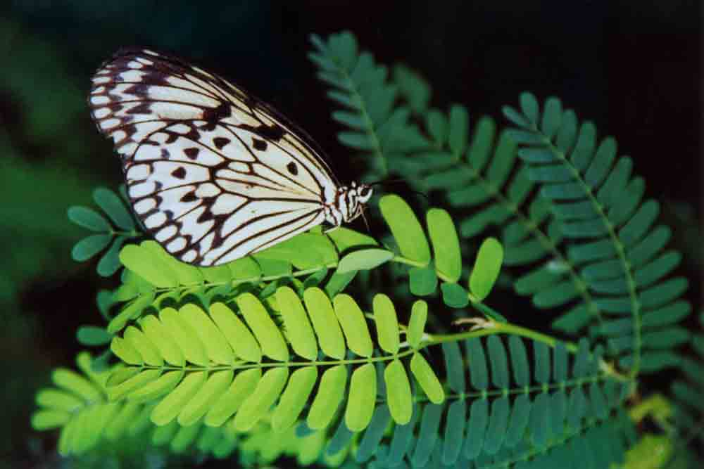 4. Platz Nina Weinmann