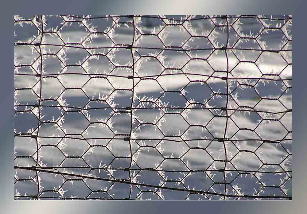 3. Platz Cathrin Steck