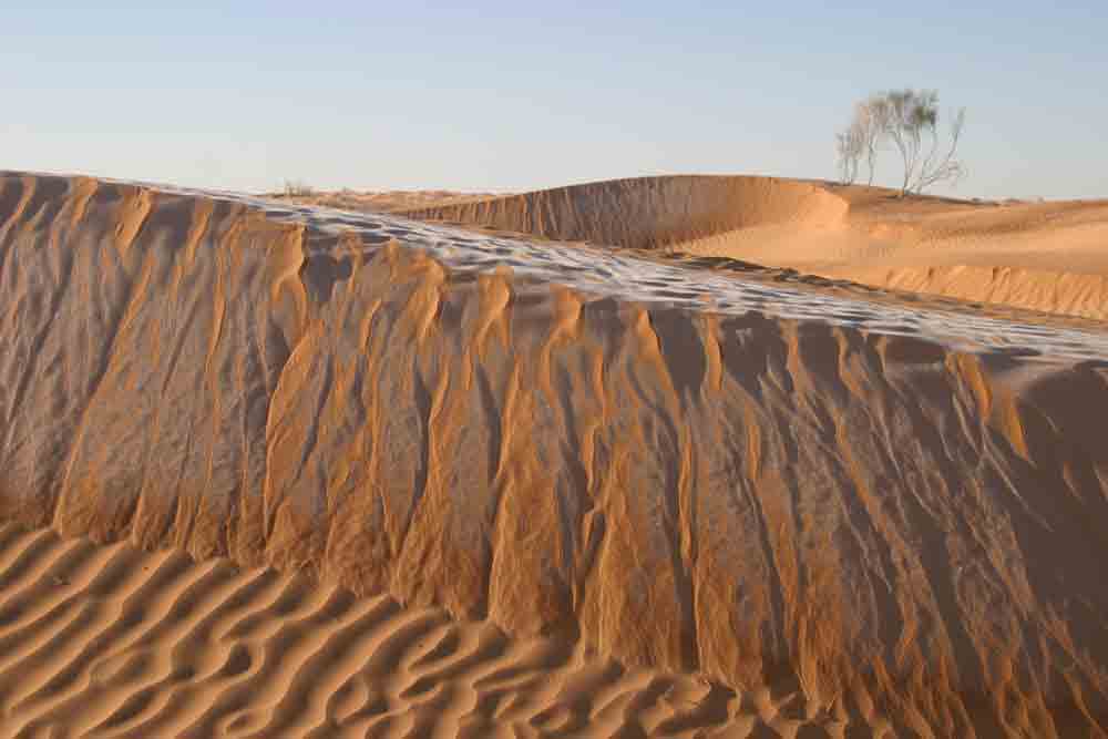 2. Platz Fabian Ruck