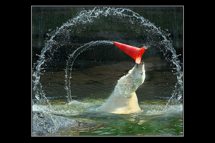 3. Platz - Rolf R�sken