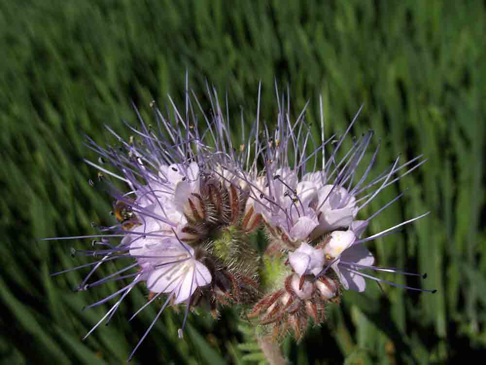 3. Platz Gabriel Senftle