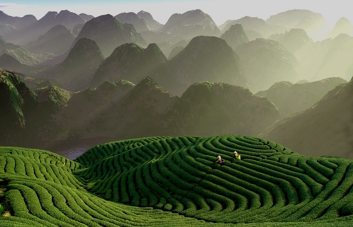 Platz 03 - Tsun-Hsiung Chian