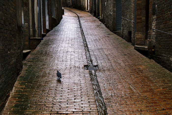 Platz 06 - Branko Korelc