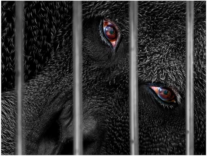 Platz 05 - Martin Huhndorf