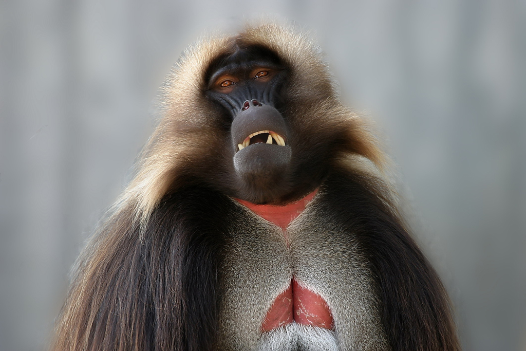 1. Platz - Rolf R�sken