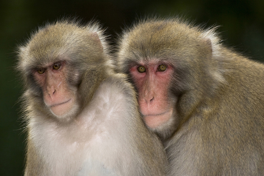 2. Platz - Simone H�nig