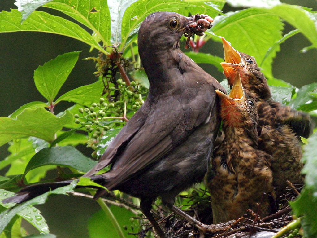 Platz 5 - Bernhard Lang
