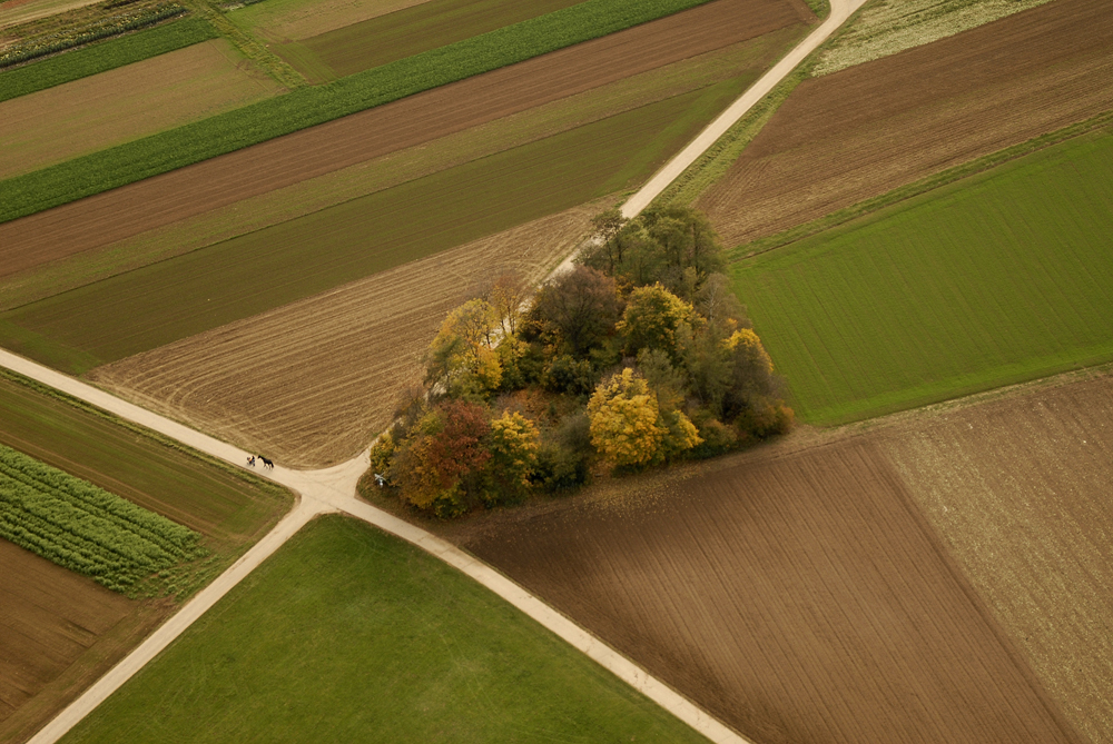 Platz 1 - Rainer Enkelmann