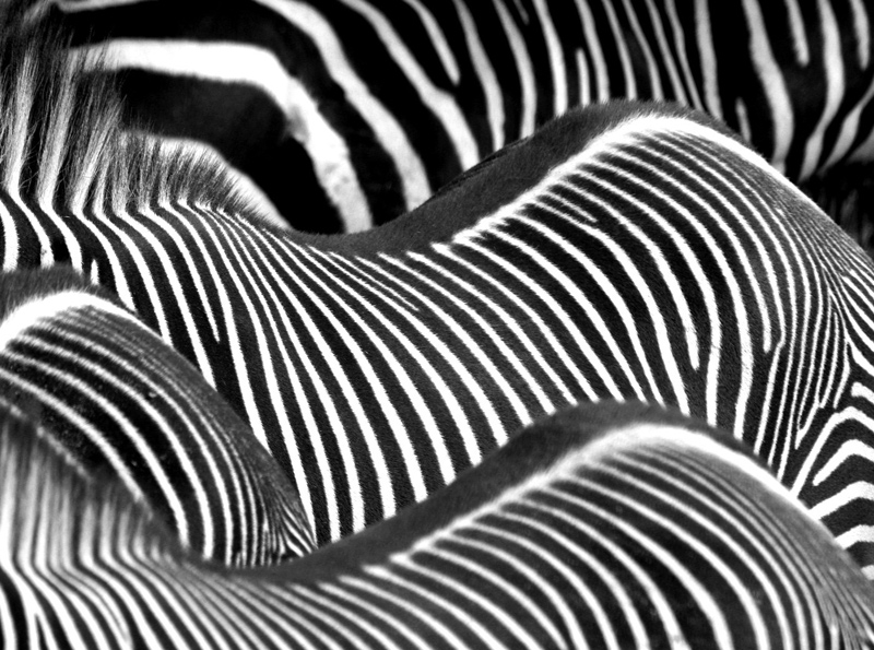 Platz 2 - Bernhard Lang