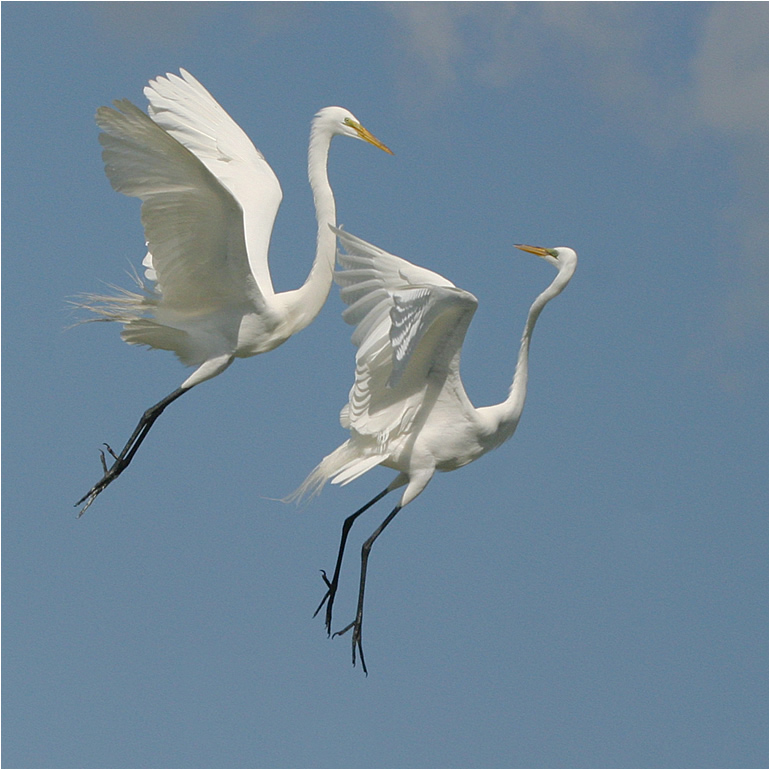 Platz 1 - Angela Doerks