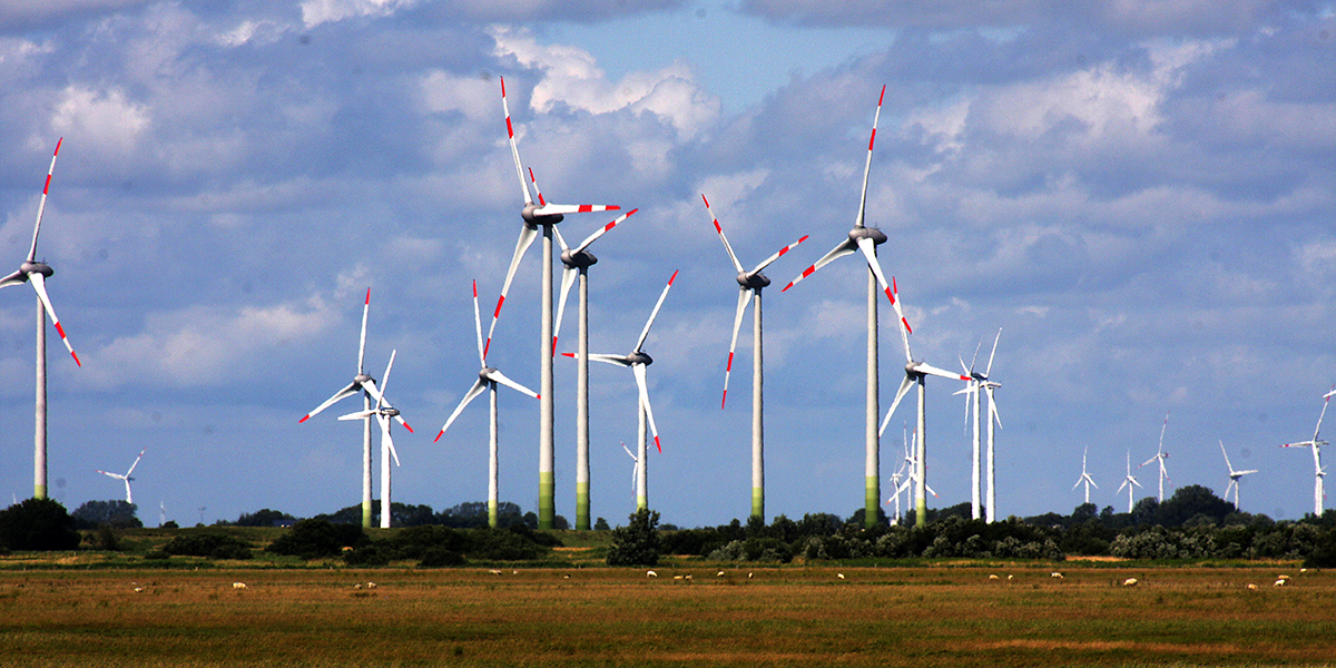 901 Buesum, Windpark