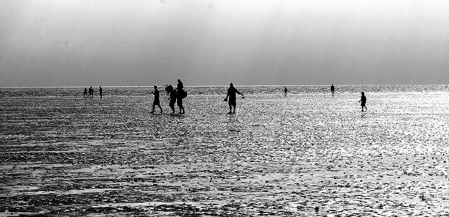 909 Wattenmeer bei Buesum