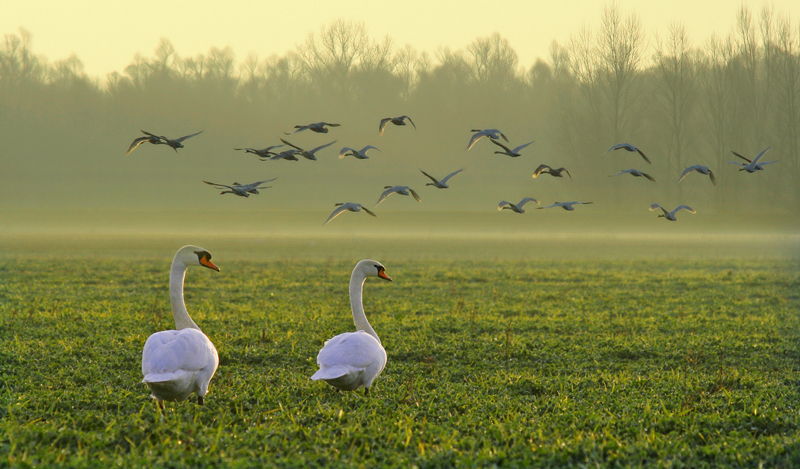 Platz 02 - Matjaz Cater, Slovenien