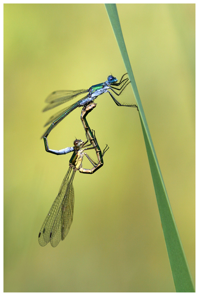 Platz 04 - Marjan Artnak, Slovenien