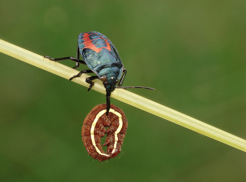 Platz 06 - Pawel Bieniewski, Polen