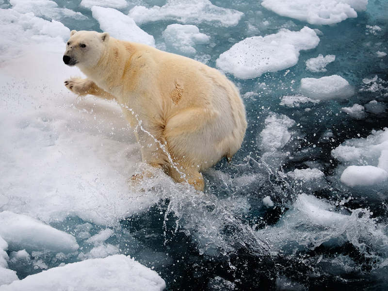 Platz 11 - Achim K�pf, Deutschland