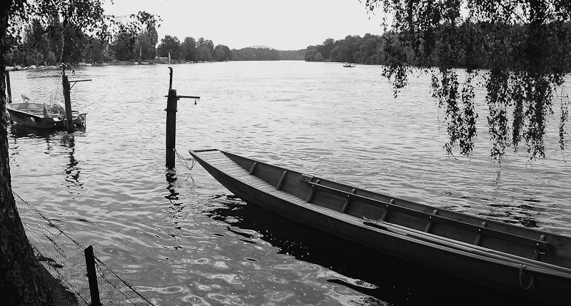 Rheinufer in Büsingen