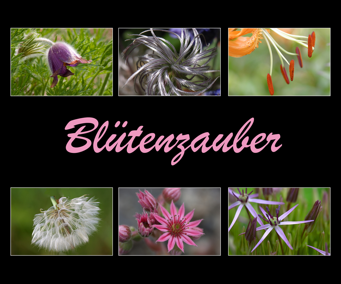 Platz 3 - Rolf R�sken 