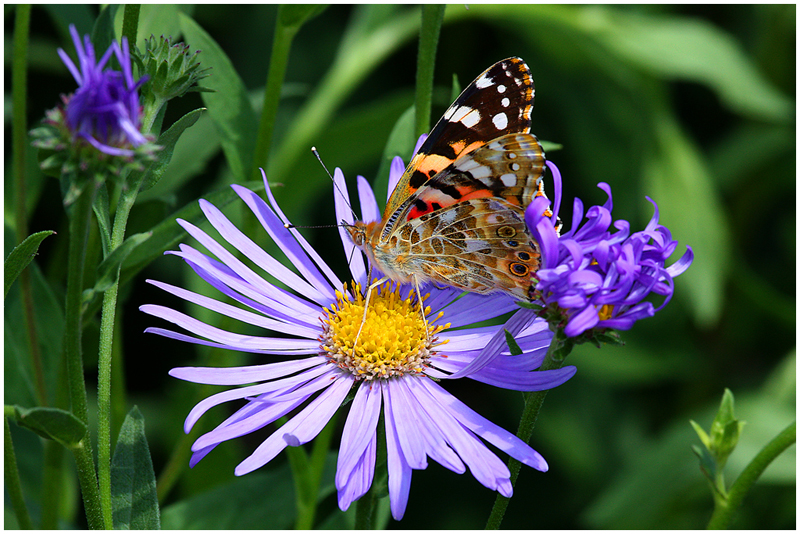 Platz 1 - Rolf R�sken