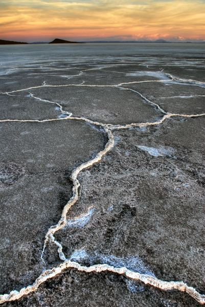 Platz 3 - Darko B�hringer