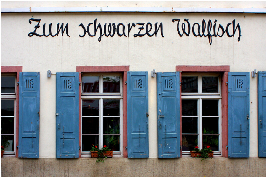 003 Lokalit�t Heidelberg