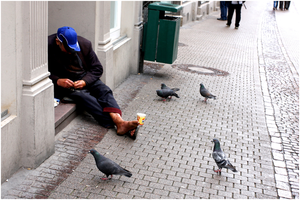 012 Taubenf�tterer