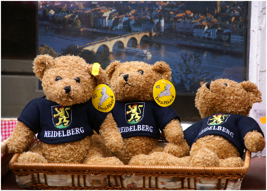 036 B�ren in der Stadt