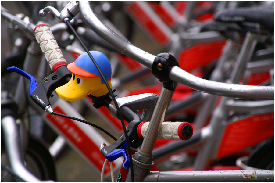 051 Bikeduck