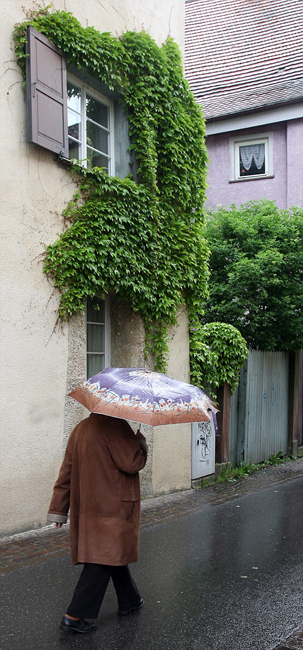 102 Sonntagsspaziergang