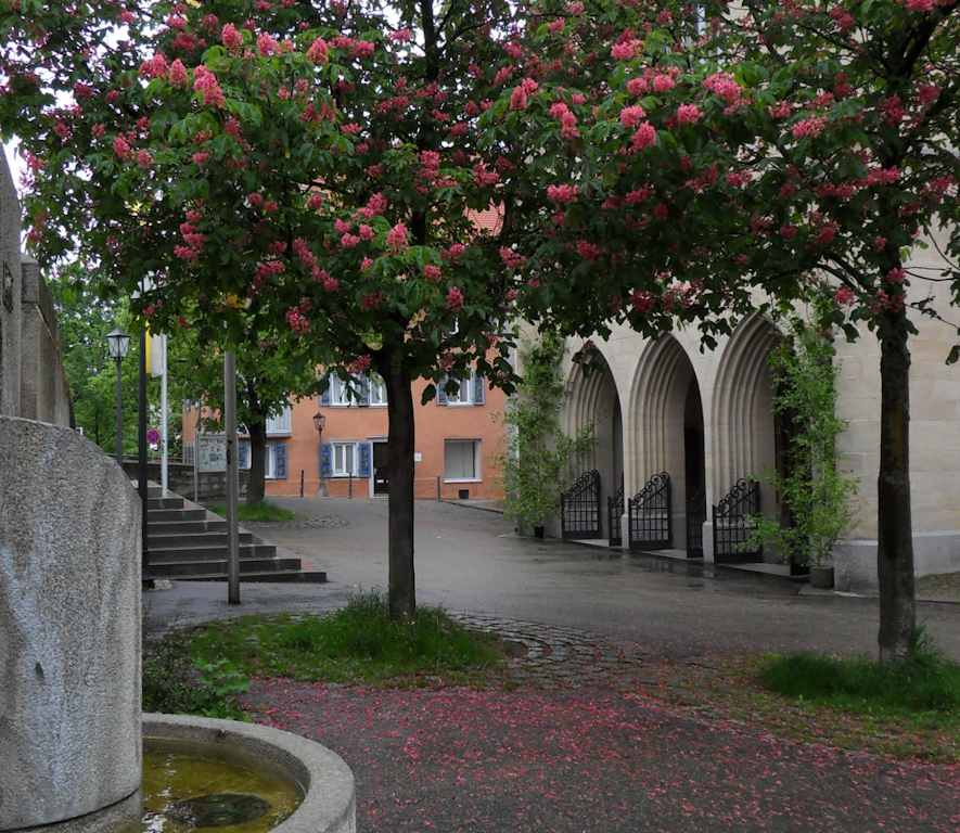 0 B16 rote Kerzen am Dom