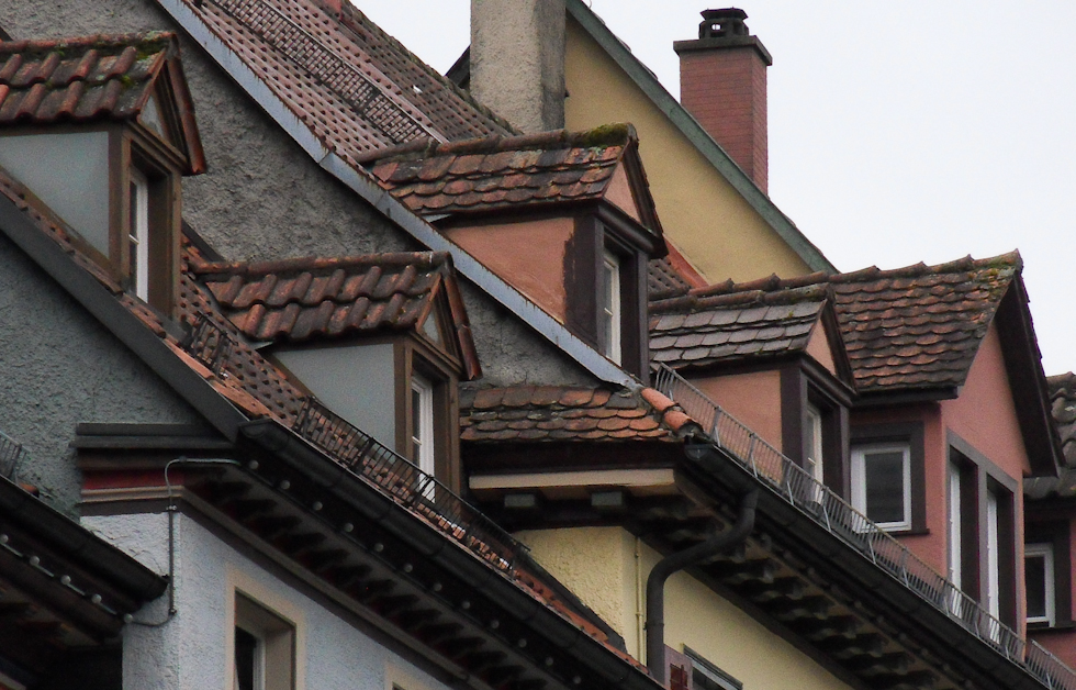 0 B26 Gauben unter sich