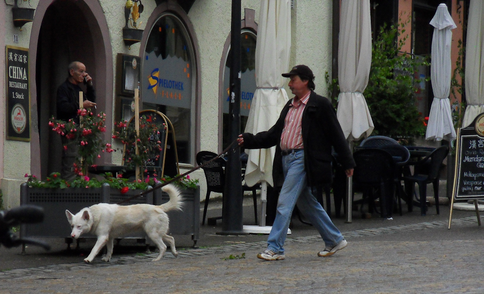 0 B28 Frage: Was macht der Hund beim Chinesen?