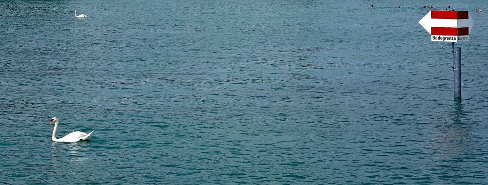 015 Badegrenze
