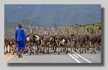 Platz 04 - Angelika Preu�