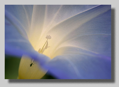 Platz 08 - Roland Wiedl