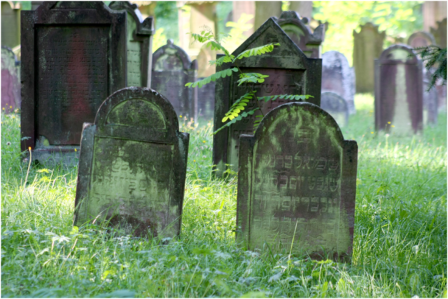 020_Juedischer Friedhof