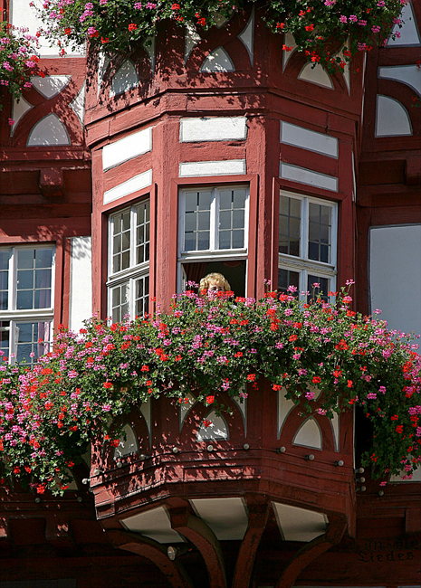 110 durch die Blumen