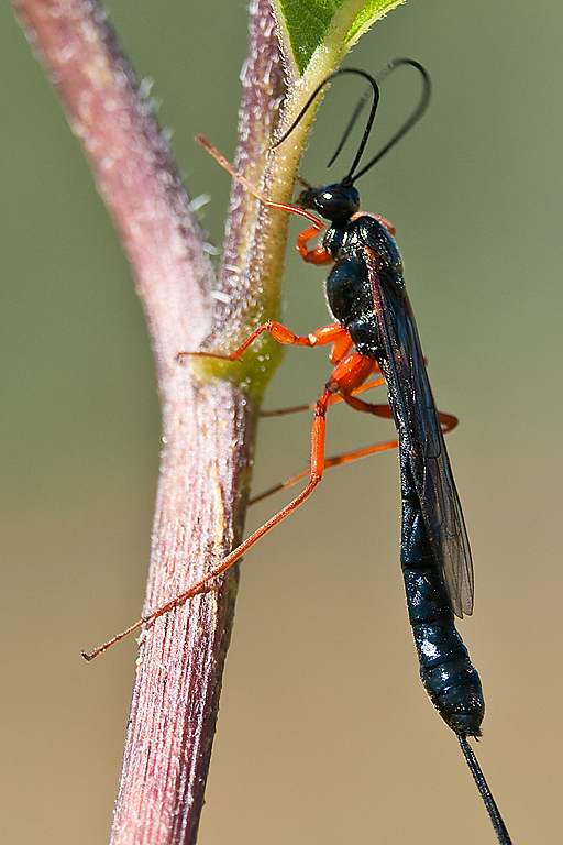 Platz 3 - Norbert Heil