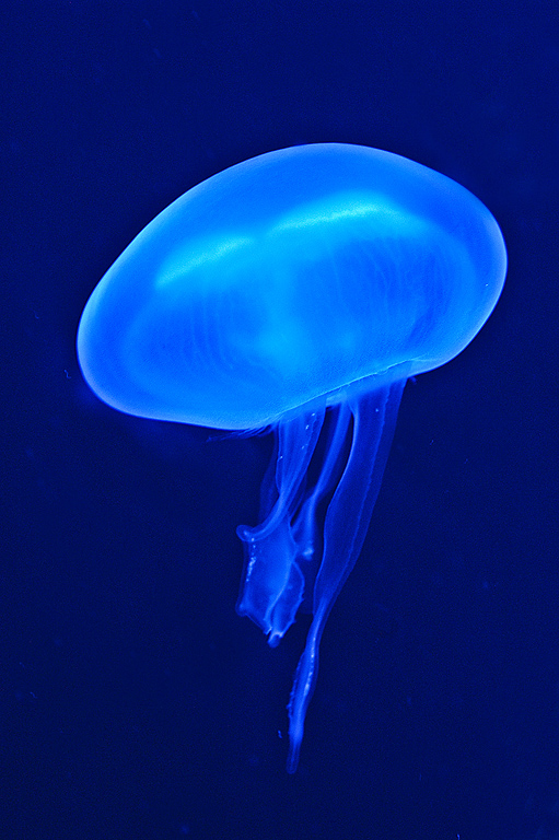 Platz 2: Norbert Heil