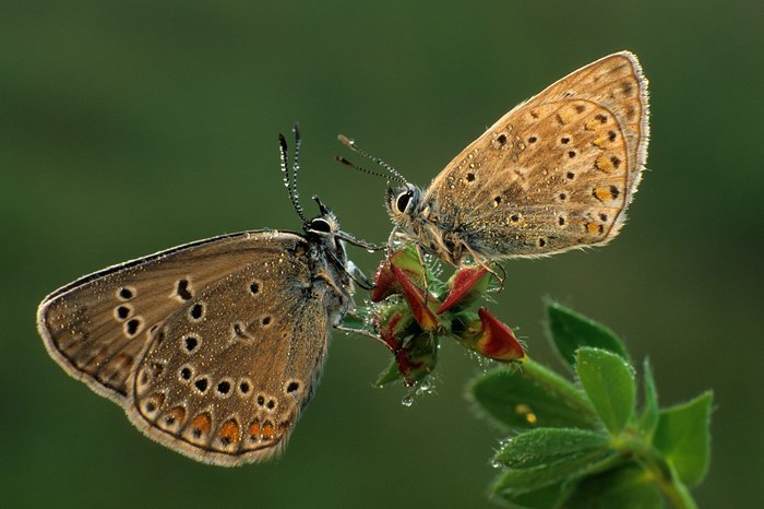 Platz 02 - Josef Graf