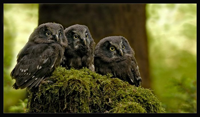 Platz 08 - Max Dorsch