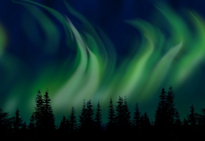 Platz 09 - Wolfgang Wittmer