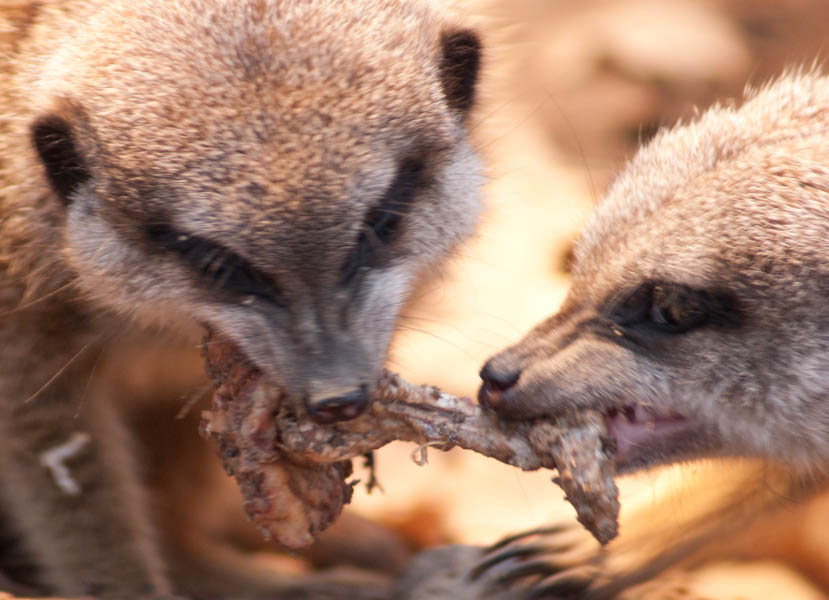 Kann man teilen.....