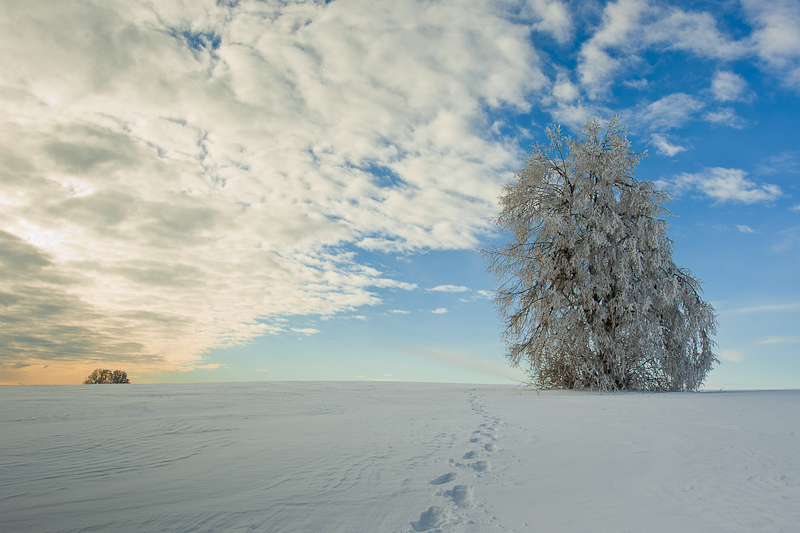 5. Platz - Michael Kueper