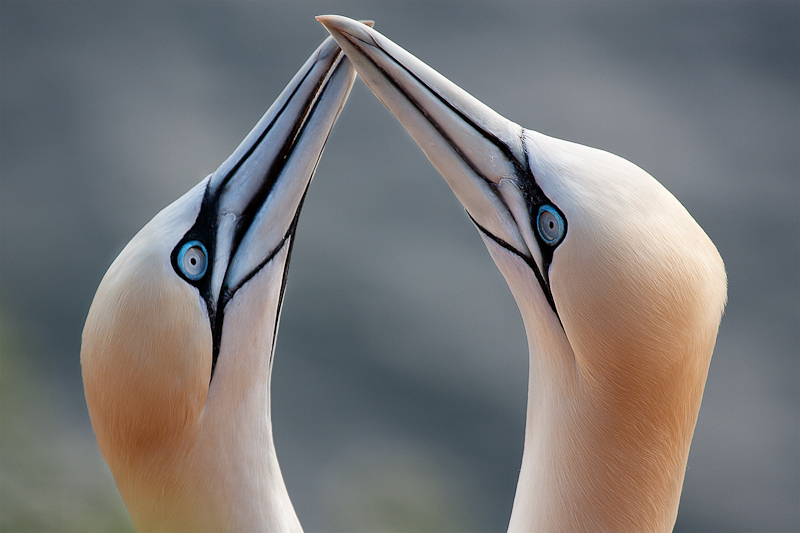 1. Platz - Bernhard Lang