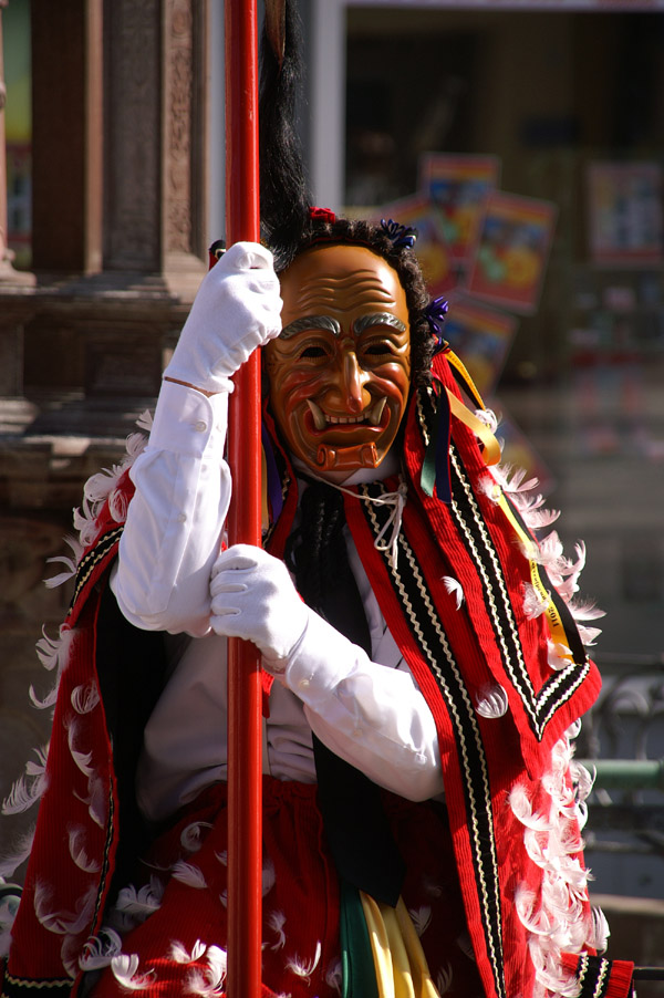 071 Rottweiler Narrensprung