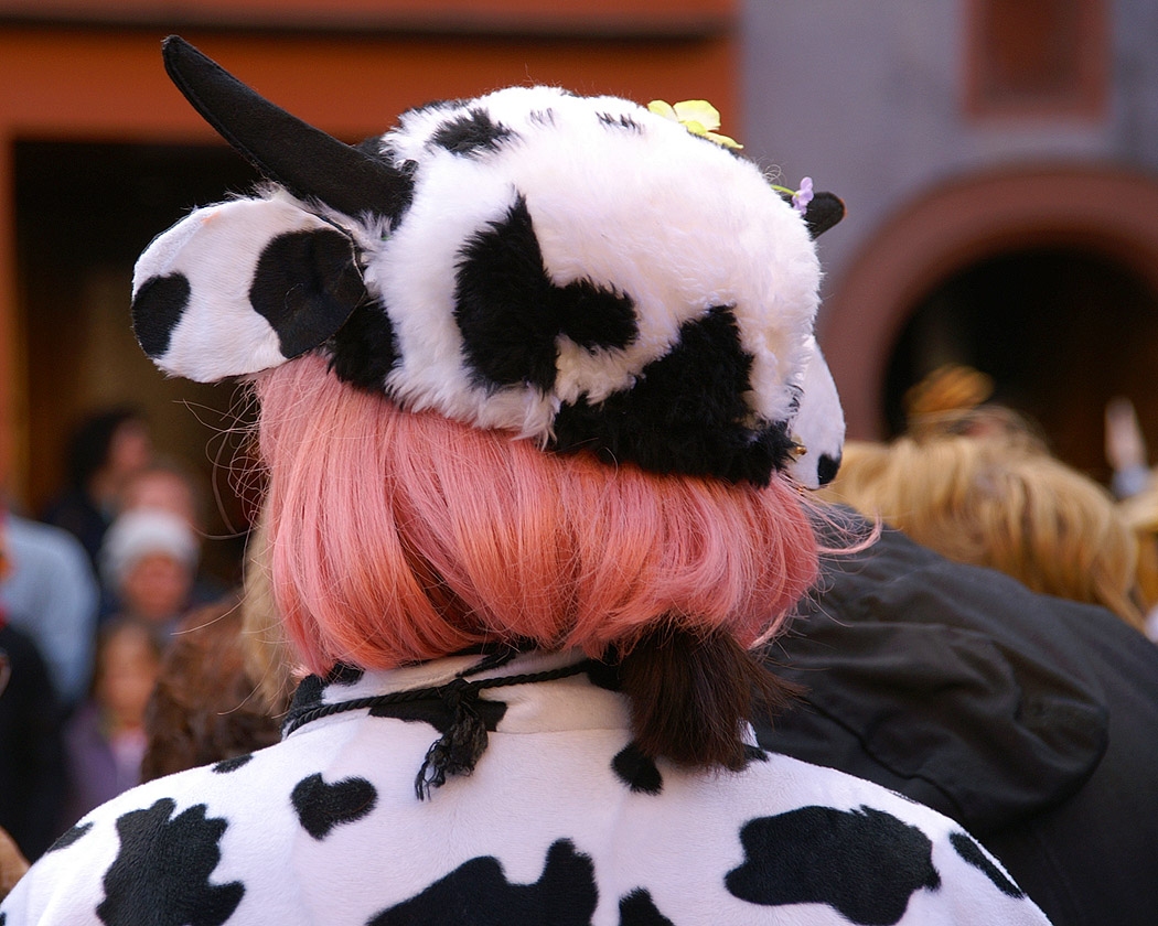 099 Rottweiler Narrensprung