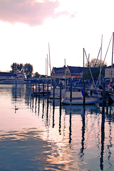 164 Mein lieber Schwan